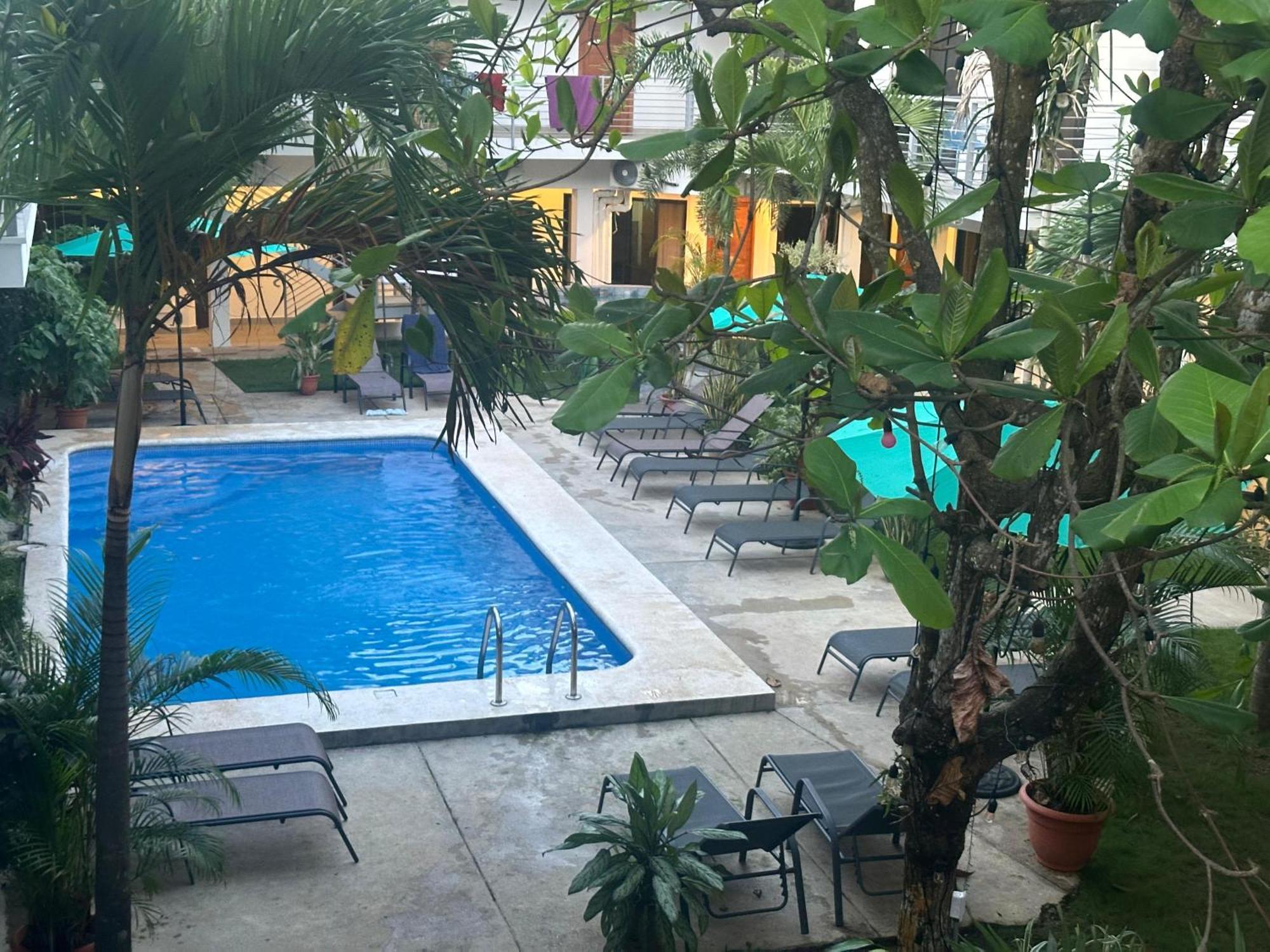 Private Fully Furnished Home At Wide Mouth Frog Hostel Quepos Exteriör bild